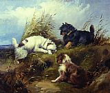 George Armfield Terriers painting